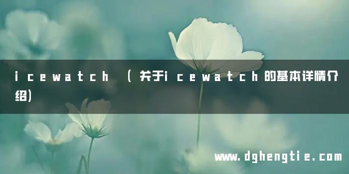 icewatch (关于icewatch的基本详情介绍)